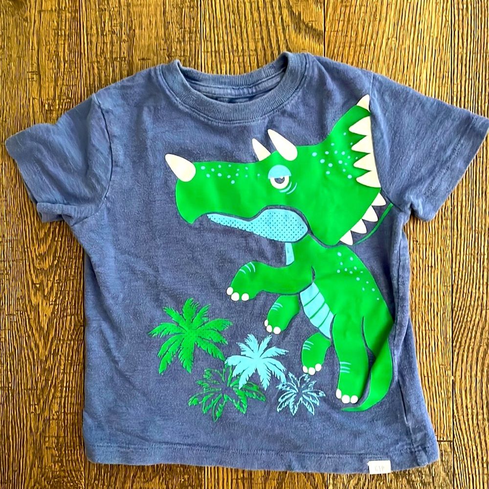 2T dinosaur t-shirt